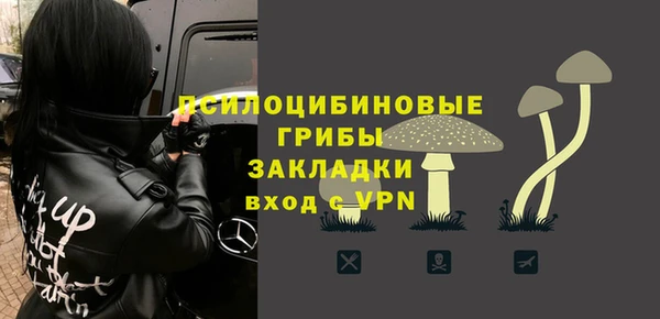 apvp Белокуриха