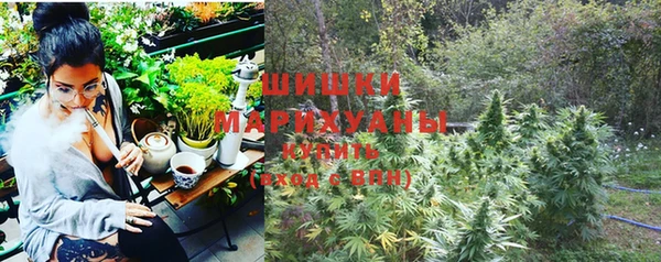 apvp Белокуриха