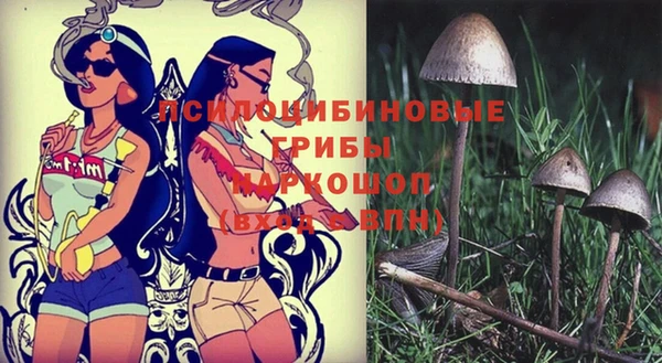 бутират Беломорск